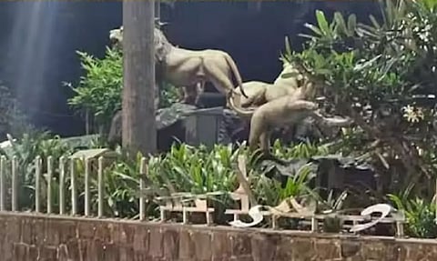 காட்கோபர் பூங்காவில் குஜராத்தி பெயர் பலகை உடைப்பு - உத்தவ் தாக்கரே கட்சியினர் ஆவேசம்