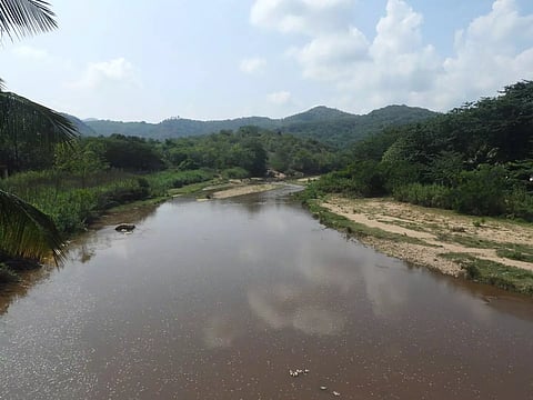 வெள்ளிமலை வனப்பகுதியில் கனமழை:மூலவைகை ஆற்றில் நீர்வரத்து அதிகரிப்பு