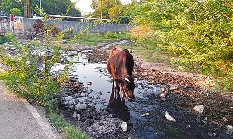 தேங்கும் கழிவுநீரால் சுகாதார சீர்கேடு