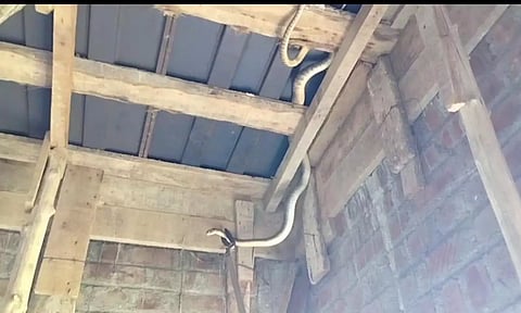 கட்டிட மேற்கூரையில் சிக்கிய பாம்பு