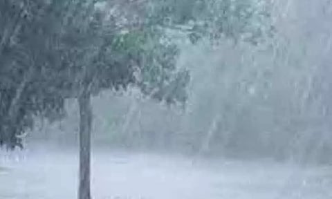 அணைப்பகுதிகளில் மீண்டும் மழை