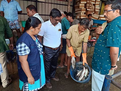 கடைகளில் அதிகாரிகள் சோதனை:கெட்டுப்போன 30 கிலோ மீன்கள் பறிமுதல்