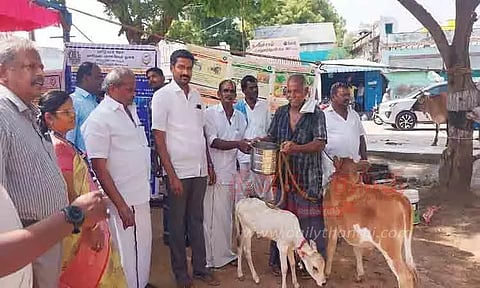 சிவகாசியில் கால்நடை சிறப்பு மருத்துவ முகாம்