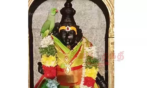 மதுரை கடச்சனேந்தல் அருகே மீனாட்சி அம்மன் சிலையில் அமர்ந்த கிளி- பக்தர்கள் பரவசம்