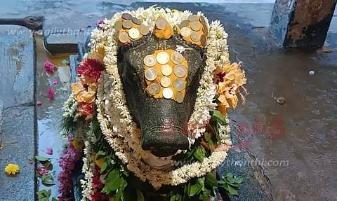 பிரதோஷத்தையொட்டி நந்தி பகவானுக்கு சிறப்பு வழிபாடு