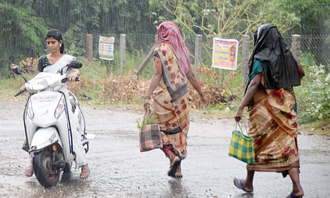 புதுக்கோட்டையில் திடீர் மழை