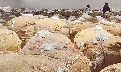 திருவாரூர் ஒழுங்குமுறை விற்பனை கூடத்தில் பருத்தி ஏலம்