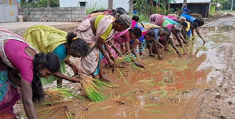 தர்மபுரி அருகே நூலஅள்ளியில்சாலையில் நாற்று நட்டு பெண்கள் போராட்டம்