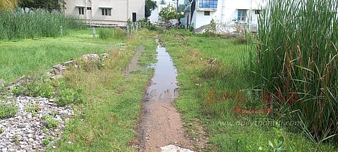 கிருஷ்ணகிரி முல்லை நகரில்வீடுகளை சுற்றி தேங்கும் மழைநீரால் பொதுமக்கள் அவதி