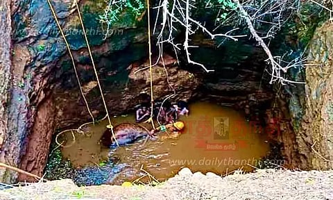 கொட்டாம்பட்டி அருகே கிணற்றில் தவறி விழுந்த பசுமாடு உயிருடன் மீட்பு