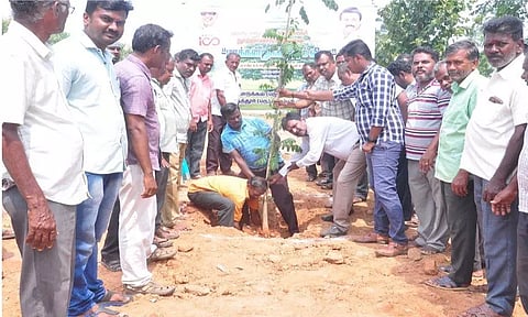 செம்பட்டியில் மரக்கன்றுகள் நடும் விழா