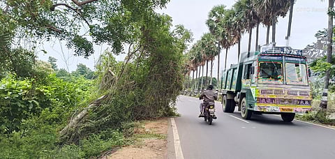 போக்குவரத்துக்கு இடையூறாக சாய்ந்து கிடக்கும் மரத்தை அகற்ற வேண்டும்