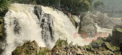 ஒகேனக்கல், மேட்டூர் அணைக்கு நீர்வரத்து குறைந்தது