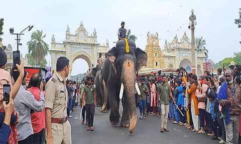 மைசூருவில் ஜம்புசவாரி ஒத்திகை ஊர்வலம்