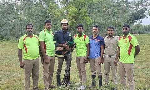 கிணற்றில் விழுந்த மயில் உயிருடன் மீட்பு