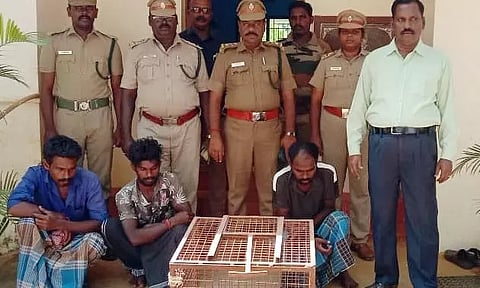 முயல் வேட்டையாடிய 3 பேர் கைது