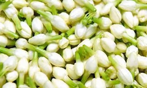 சத்தியமங்கலம் மார்க்கெட்டில் மல்லிகைப்பூ கிலோ ரூ.920-க்கு ஏலம்