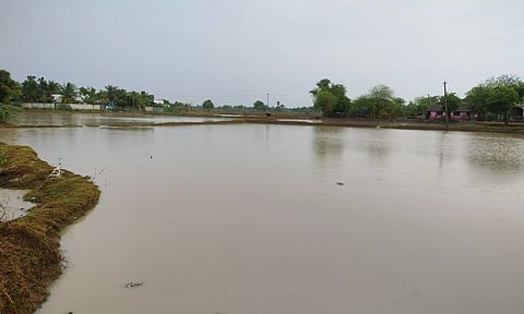 மாவட்டத்தில் பரவலாக மழை