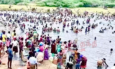 கொட்டாம்பட்டி அருகே களை கட்டிய மீன்பிடி திருவிழா