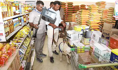 விழுப்புரத்தில் பரபரப்பு:பிரபல வணிக வளாகத்திற்கு மீண்டும் வெடிகுண்டு மிரட்டல்; தனியார் நிறுவன ஊழியர் கைது