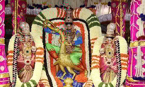 பிரம்மோற்சவத்தால் ஜொலிக்கும் திருப்பதி... முத்யபு பாண்டிரி வாகனத்தில் சுவாமி வீதி உலா