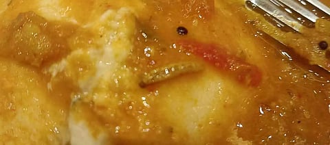 பிரபல ஓட்டலில் பரிமாறிய சாம்பார் இட்லியில் புழு இருந்ததால் பரபரப்பு