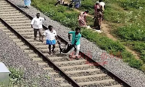 ரயிலில் அடிபட்டு 8 ஆடுகள் பலி