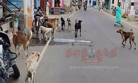 நாய்கள் தொல்லையால் பொதுமக்கள் அச்சம்