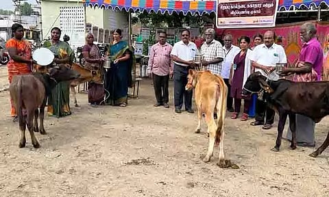 கால்நடை சுகாதாரம் குறித்த விழிப்புணர்வு முகாம்