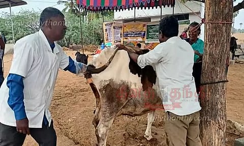 கால்நடை மருத்துவ முகாம்