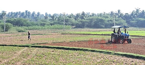 மழைநீரை நம்பி சம்பா சாகுபடி பணியை தொடங்கிய விவசாயிகள்