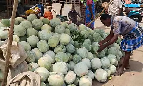 ஆயுதபூஜையை முன்னிட்டு பூசணிக்காய் விற்பனை மும்முரம்