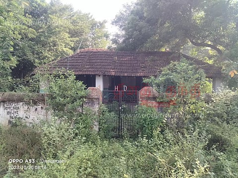 செடி, கொடிகள் வளர்ந்து காடாக மாறிய பயணியர் மாளிகை