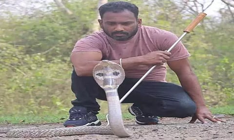 வீட்டுக்குள் புகுந்த நாகப்பாம்பால் பரபரப்பு