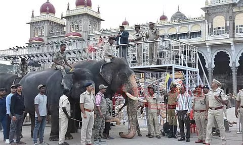 49 அலங்கார ஊர்திகள், 55 கலைக்குழுவினரின் அணிவகுப்புடன் மைசூருவில் நாளை தசரா ஊர்வலம்