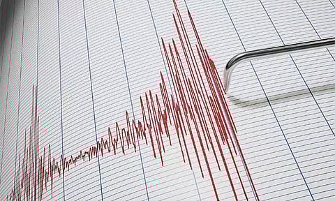 நேபாளத்தில் துயரம்: நிலநடுக்கத்தில் 20 வீடுகள் சேதம்