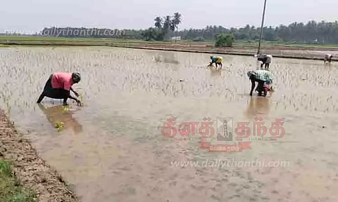 சம்பா சாகுபடியில் விவசாயிகள் ஆர்வம்