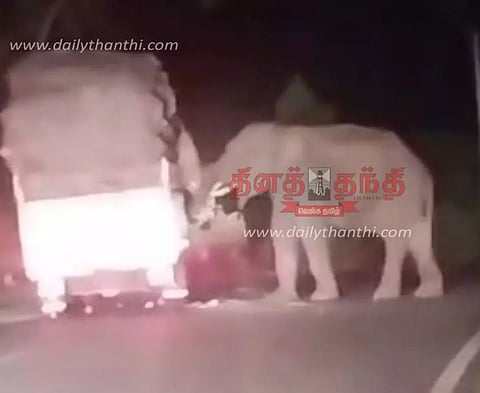 ஆசனூர் அருகே சரக்கு வேனை வழிமறித்து உருளைக்கிழங்கை தின்ற காட்டு யானை