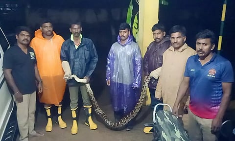 போடியில் சாலையில் ஊர்ந்து சென்ற மலைப்பாம்பு