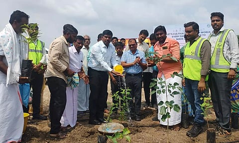 கொளக்குடி கிராமத்தில் அடர்வன குறுங்காடுகள் அமைக்கும் திட்டம்