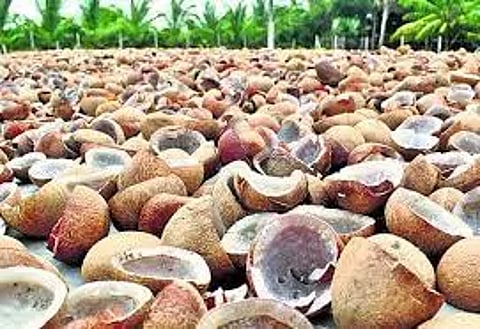 மொடக்குறிச்சி ஒழுங்குமுறை விற்பனைக்கூடத்தில் ரூ.3¼ லட்சத்துக்கு கொப்பரை தேங்காய் ஏலம்