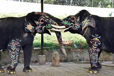 தசரா யானைகள் இன்று முகாம்களுக்கு திரும்புகின்றன