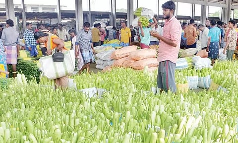 மார்க்கெட்டிற்கு 7 டன் சுரைக்காய் வரத்து