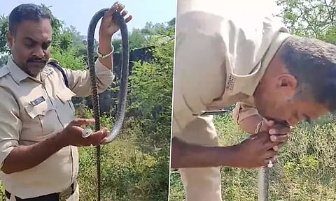 சுயநினைவை இழந்த பாம்பு: வாயோடு வாய் வைத்து உயிர்பிழைக்க வைத்த காவலர்; குவியும் பாராட்டு...வீடியோ வைரல்!