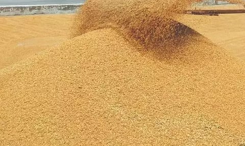 நெல் கொள்முதல் நிலையம் திறக்கப்படுமா?