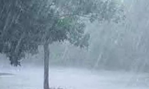 குமரியில் பரவலாக மழை