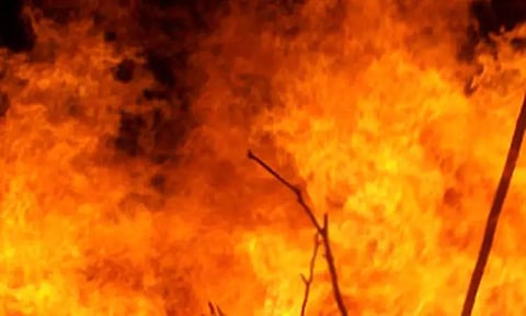 கோப்புப்படம்