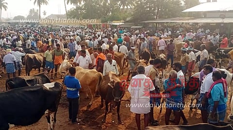 கருங்கல்பாளையம் சந்தையில் 90 சதவீத மாடுகள் விற்பனை
