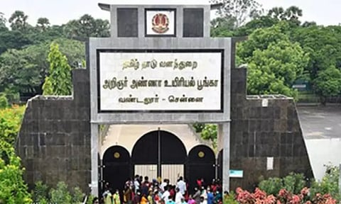 கோவை வ.உ.சி உயிரியல் பூங்காவிலிருந்த விலங்குகள் சென்னை வண்டலூருக்கு இடமாற்றம்