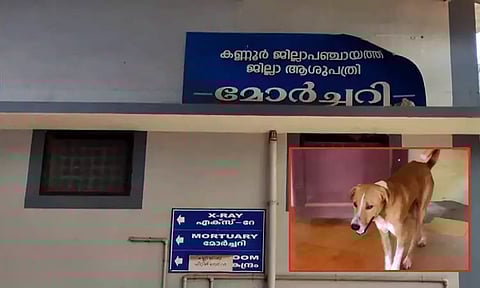 கேரளாவில் ஒரு ஹசிகோ...!! பிரேத அறைக்கு வெளியே 4 மாதங்களாக காத்திருக்கும் 'ராமு'